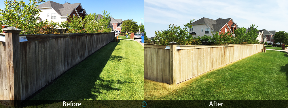 Fence Restoration & Staining